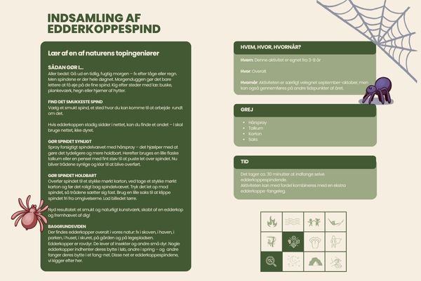 Indsamling af edderkoppespind